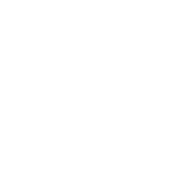 Dammrisk
